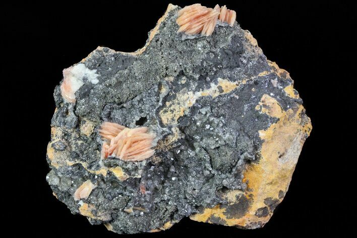 Cerussite Crystals with Bladed Barite on Galena- Morocco #74291